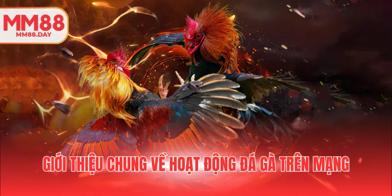 gioi-thieu-chung-ve-hoat-dong-da-ga-tren-mang