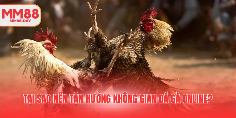 tai-sao-nen-tan-huong-khong-gian-da-ga-online